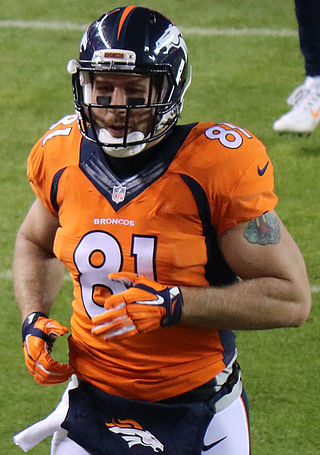 <span class="mw-page-title-main">Owen Daniels</span> American football player (born 1982)