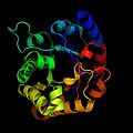 Triose-phosphate isomérase (enzyme).