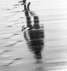 While a person can usually be readily identified from a picture taken directly of them, the task of identifying them on the basis of limited data is harder, yet sometimes possible. Walking reflection.jpg