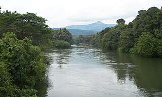 <span class="mw-page-title-main">Meenachil River</span> River in Kerala, India