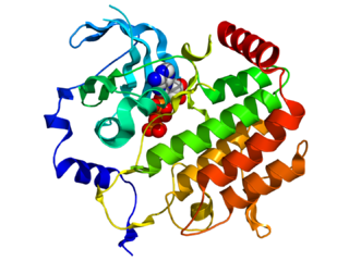 <span class="mw-page-title-main">BUB1</span> Protein-coding gene in the species Homo sapiens