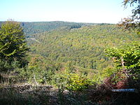 Blick vom Nordhang des Weißenbergs ins obere Wartenbachtal