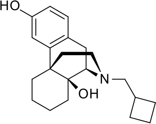 <span class="mw-page-title-main">Butorphanol</span> Opioid analgesic