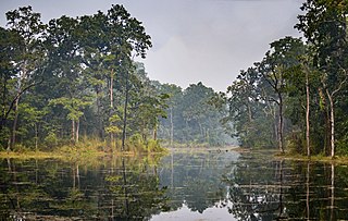 <span class="mw-page-title-main">Chitwan National Park</span> National park in Nepal