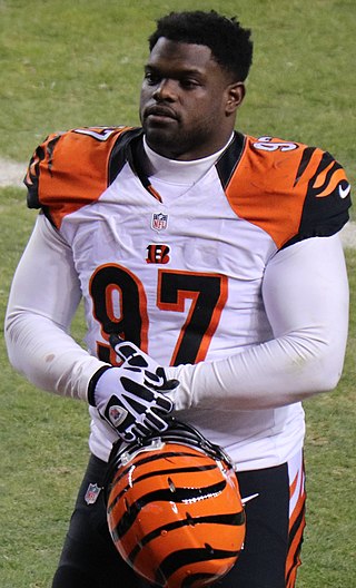 <span class="mw-page-title-main">Geno Atkins</span> American football player (born 1988)