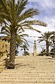 * Nomination View of Kikar Kedumim street bell tower of St. Peter's Church (Jaffa). --Godot13 01:45, 21 April 2013 (UTC) * Promotion Bit bright IMO. Mattbuck 23:52, 29 April 2013 (UTC) Fixed--Godot13 16:47, 30 April 2013 (UTC) Better. Mattbuck 11:41, 2 May 2013 (UTC)