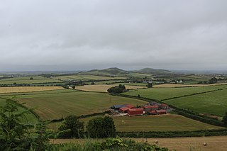 <span class="mw-page-title-main">Agriculture in Ireland</span> History of agriculture in Ireland