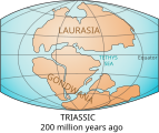 Laurasia-Gondwana.svg