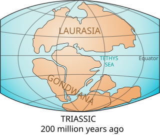 <span class="mw-page-title-main">Tethys Ocean</span> Prehistoric ocean between Gondwana and Laurasia