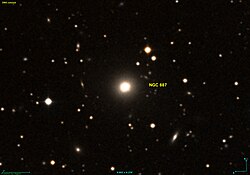 NGC 687