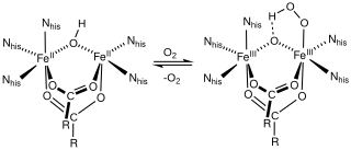 <span class="mw-page-title-main">Non-heme iron protein</span>