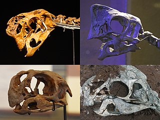 <span class="mw-page-title-main">Oviraptoridae</span> Extinct family of dinosaurs