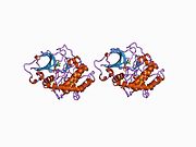 PDB 1cdk EBI.jpg