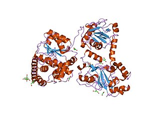 <span class="mw-page-title-main">CO-methylating acetyl-CoA synthase</span> Enzyme