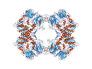 <span class="mw-page-title-main">Dipeptidyl-peptidase IV family</span>