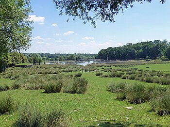 Vue générale du parc animalier