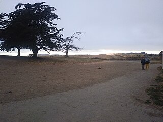 <span class="mw-page-title-main">Point Isabel Regional Shoreline</span> Multi-use park