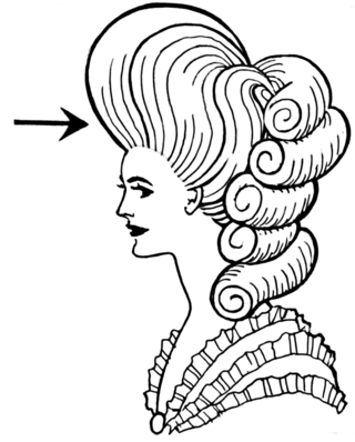 <span class="mw-page-title-main">Pompadour (hairstyle)</span> Hairstyle