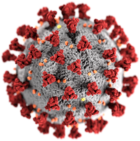 ไวรัสโคโรนาสายพันธุ์ใหม่ (SARS-CoV-2)