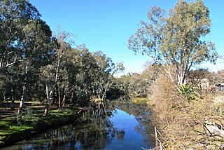 Ovens River The Ovens River joins the Murray River a little east of the twin towns of Yarrawonga and Mulwala.