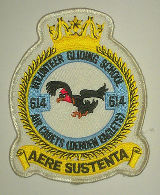 <span class="mw-page-title-main">Volunteer Gliding Squadron</span> Squadrons of the Royal Air Force which provide gliding experience for Air Cadets