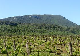 Image illustrative de l’article Coteaux-varois-en-provence