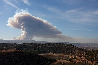 <span class="mw-page-title-main">2010 Mount Carmel forest fire</span> 2010 forest fire in northern Israel