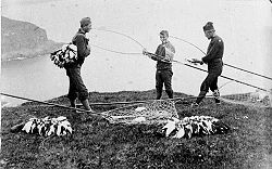 Vogelfänger in Trongisvágur mit ihren Fleygastengur (Vogelfangstangen), 1898 oder 1899