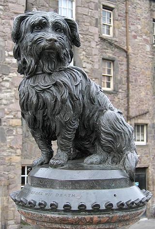 <span class="mw-page-title-main">Greyfriars Bobby</span> Skye Terrier