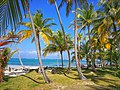 Isla Tortuga (Morrodub) Cayos Holandeses, Archipiélago de San Blas, Panamá