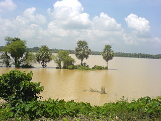 <span class="mw-page-title-main">Burdwan II</span> Community development block in West Bengal, India