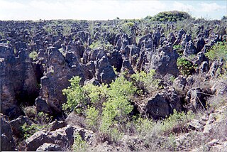 <span class="mw-page-title-main">Land degradation</span> Gradual destruction of land