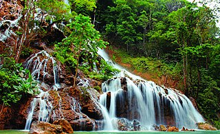 <span class="mw-page-title-main">Manupeu Tanah Daru National Park</span> National park in Indonesia