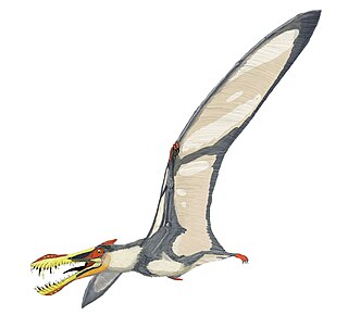 <i>Liaoningopterus</i> Genus of anhanguerid pterosaur from the Early Cretaceous