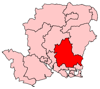 <span class="mw-page-title-main">Meon Valley (UK Parliament constituency)</span>