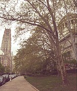 Riverside Church and Grant's Tomb May 6 2019.jpg