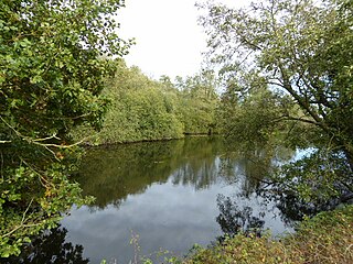 <span class="mw-page-title-main">Norfolk Wildlife Trust</span> British nature reserve