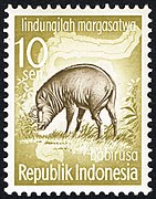 Stamp of Indonesia - 1959 - Colnect 260766 - North Sulawesi Babirusa Babyrousa celebensis.jpeg