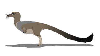 <i>Trierarchuncus</i> Extinct genus of reptiles