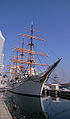 日本丸 Nippon maru