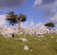 14.11.06 Yorkshire Dales