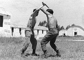 <span class="mw-page-title-main">Krav Maga</span> Martial art