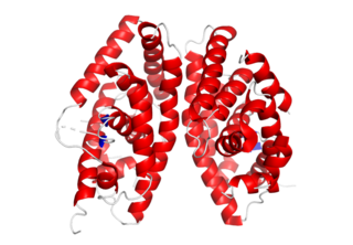 <span class="mw-page-title-main">Liver X receptor</span> Nuclear receptor