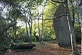 Les menhirs de Lespurit-Ellen (l'un est debout, l'autre est couché).