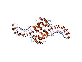 <span class="mw-page-title-main">F-box protein</span> Protein containing at least one F-box domain