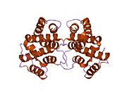 PDB 1mhq EBI.jpg