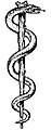 Image 32Rod of Asclepius, in which the snake, through ecdysis, symbolizes healing (from Snake)