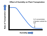 Transpiration Humidity Graph.svg