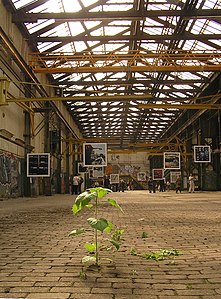 3. Inside from the 3rd from five Van Gendthallen, or Hallen van Stork, on Oostenburg in Amsterdam. Architect A.L. van Gendt was asked in 1897 to build them for Werkspoor Apus apus