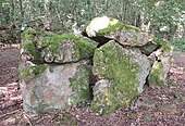 Dolmen du Puits aux Ladres